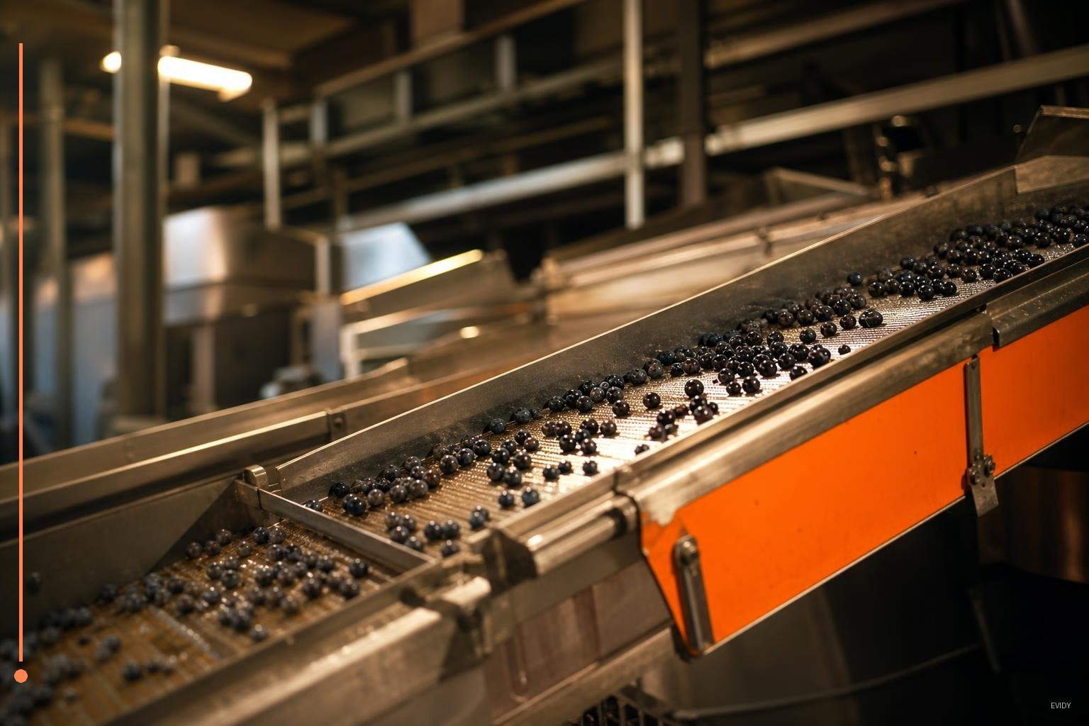Certificazione IFS Food: cosa serve davvero per fornire la grande distribuzione | Industria & Produzione | Evidy